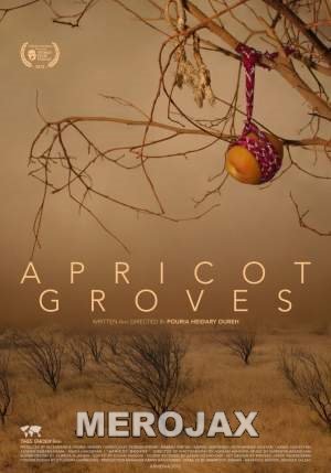 APRICOT GROVES / ԾԻՐԱՆԻ ԱՅԳԻՆԵՐ - 2016
